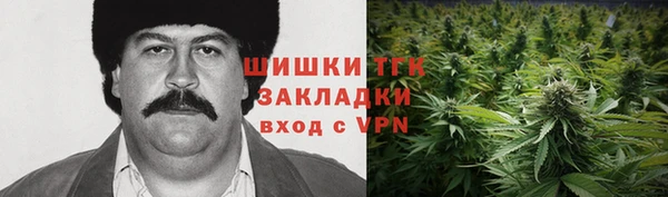 PSILOCYBIN Армянск
