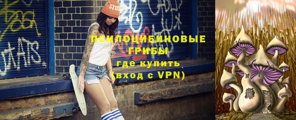 тгк Арсеньев